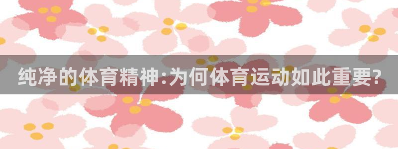 风动体育app官方下载：纯净的体育精神:为何体育运动如此重要?