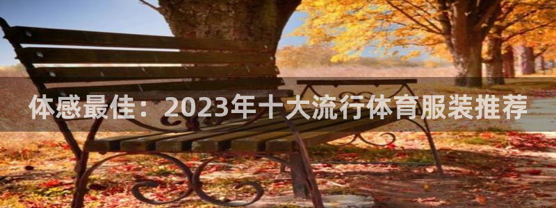 风动体育收费吗：体感最佳：2023年十大流行体育服装推荐