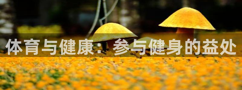 风动体育app下载：体育与健康：参与健身的益处