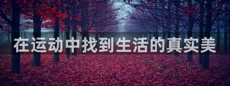 风动体育tv版：在运动中找到生活的真实美